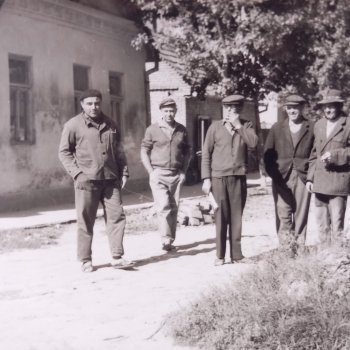 Pillanatkép