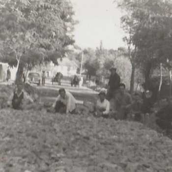 Dózsa György utca