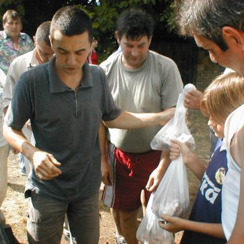 Dombos Fest - Bográcsfőző verseny