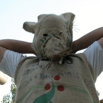 Dombos Festival