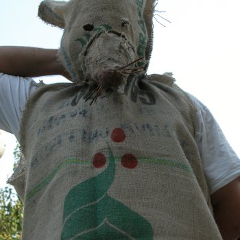 Dombos Festival