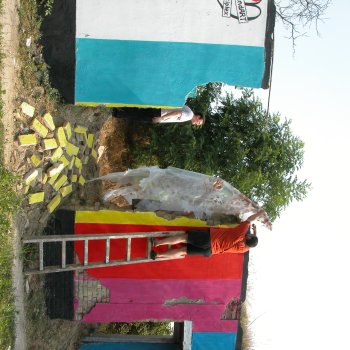 Dombos Festival