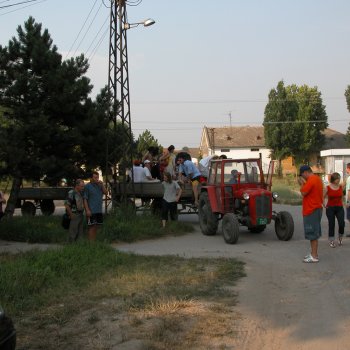 Dombos Festival