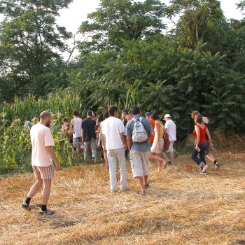 Dombos Festival
