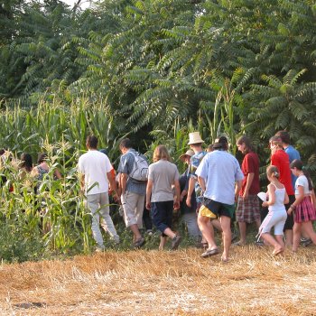 Dombos Festival