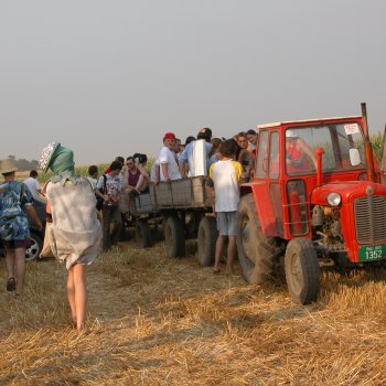 Dombos Festival