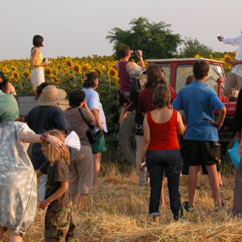 Dombos Festival