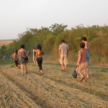 Dombos Festival