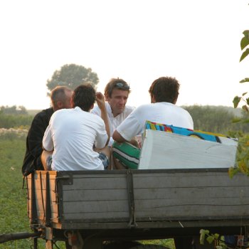 Dombos Festival