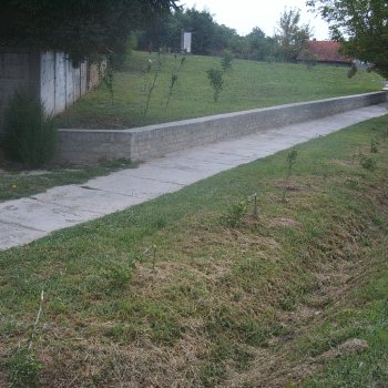 Vihar után
