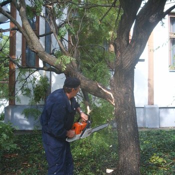 Vihar után