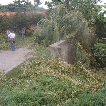 Vihar után