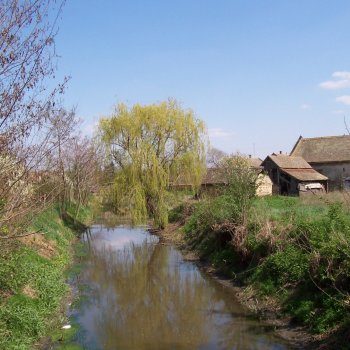 Krivaj