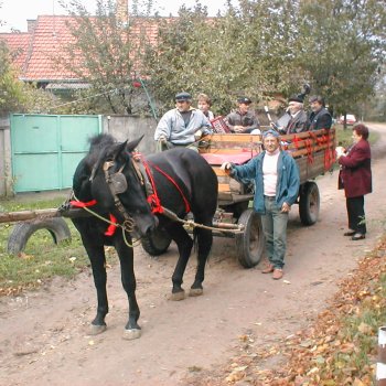 Farsangi felvonulás