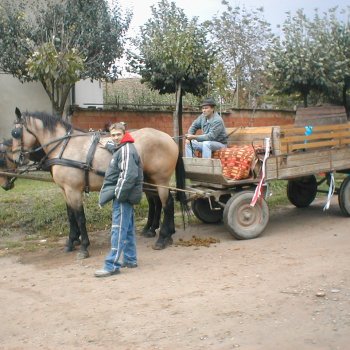 Farsangi felvonulás
