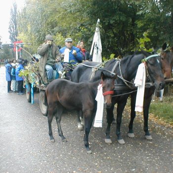 Farsangi felvonulás