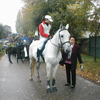 Farsangi felvonulás