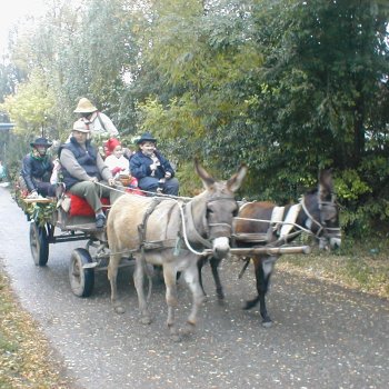 Farsangi felvonulás