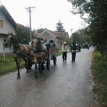 Farsangi felvonulás