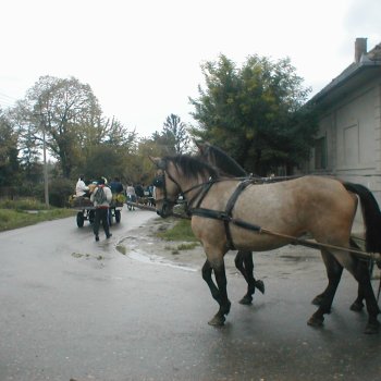 Farsangi felvonulás