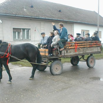 Farsangi felvonulás
