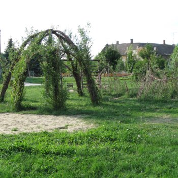 Fűzfakupola