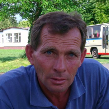 Vince István