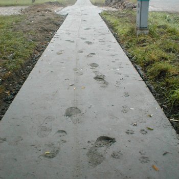 Helyi Közösség - Járdák Betonozása