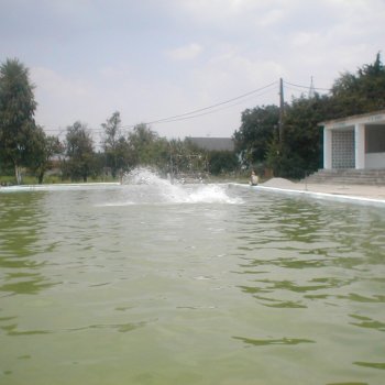 Kishegyesi Fűrdő