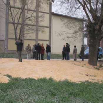 Szétdőlt Siló a Vasút Utcában