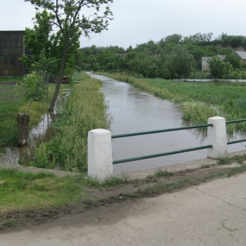 Krivaj Árvíz