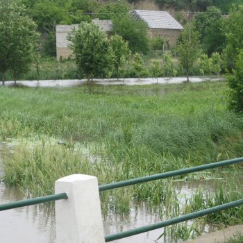 Krivaj Árvíz