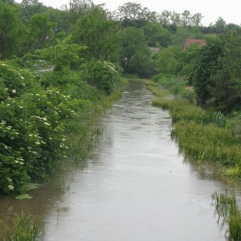 Krivaj Árvíz