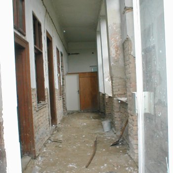 Tele-Ház