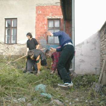Tele-Ház