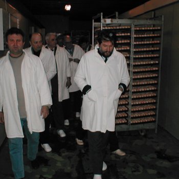 Pillanatképek
