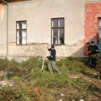 Tele-Ház