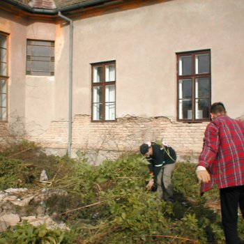 Tele-Ház