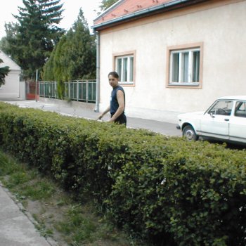 Tele-Ház Átalakulás