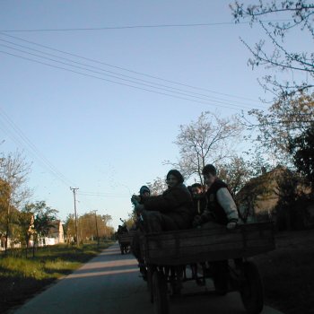 Zenés ébresztés