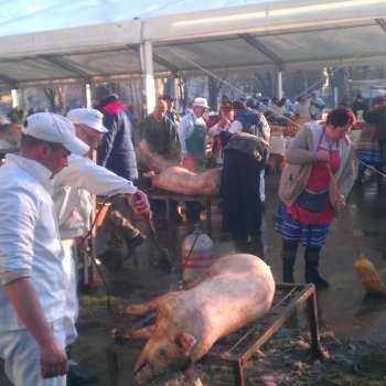 Gádorosi disznóvágó-fesztivál