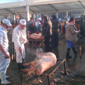 Gádorosi disznóvágó-fesztivál