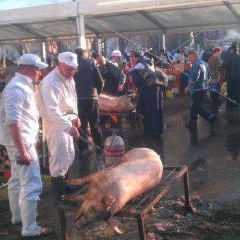 Gádorosi disznóvágó-fesztivál