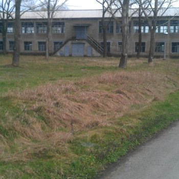 Grada-Mont