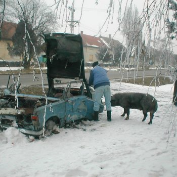 Tűzoltó bemutató után