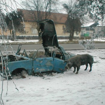 Tűzoltó bemutató után
