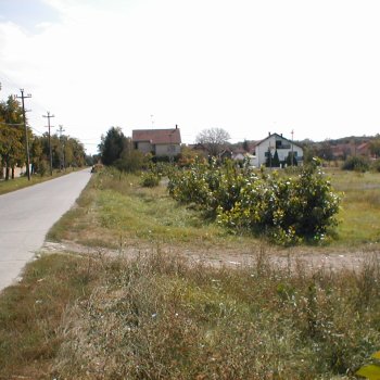 Vásártér