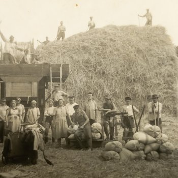 Cséplés egykoron
