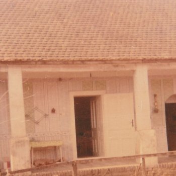Pillanatkép