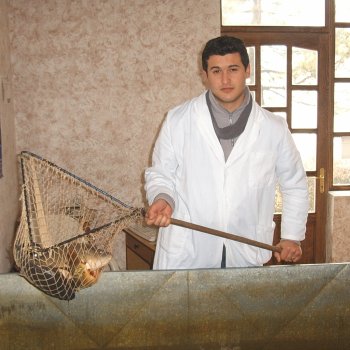 Kishegyesi Vállalkozók
